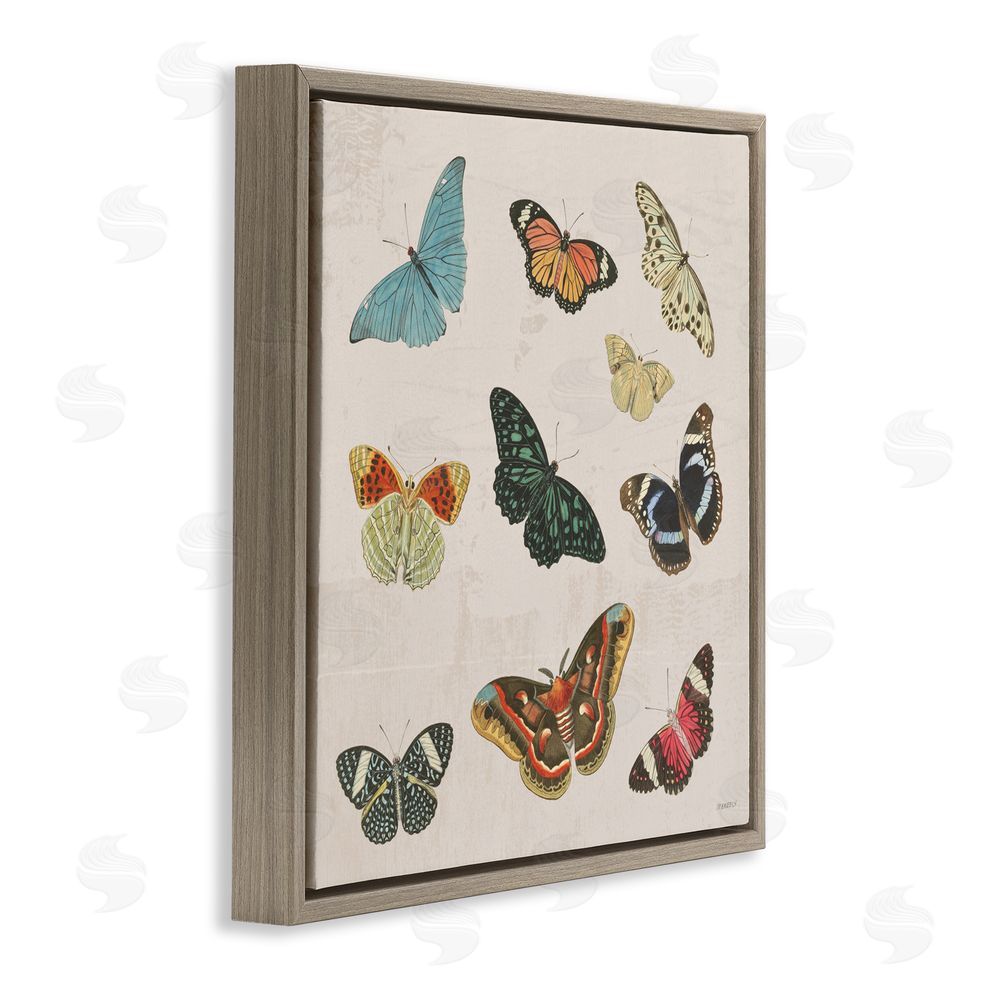 Sundance Graphics Vintage Butterfly Flight Brown Floating Frame Canvas Wall Art Print