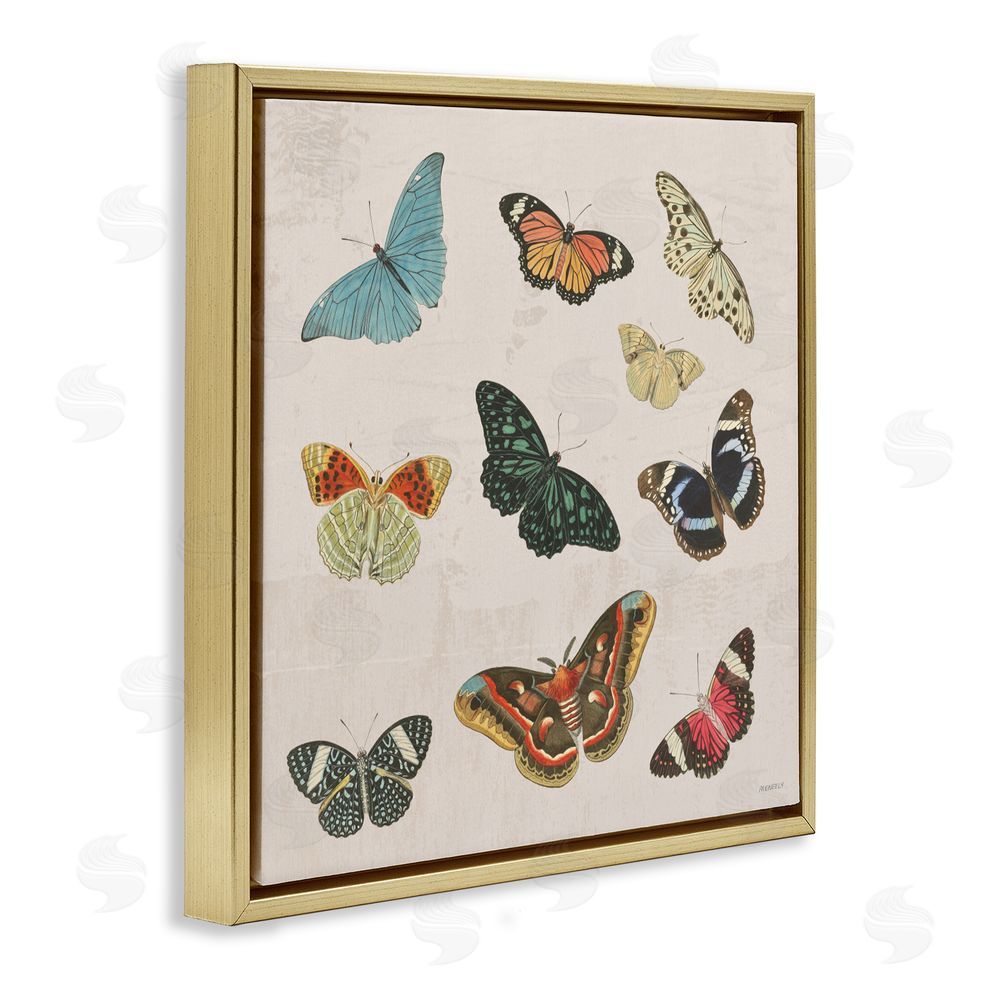 Sundance Graphics Vintage Butterfly Flight Gold Floating Frame Canvas Wall Art Print