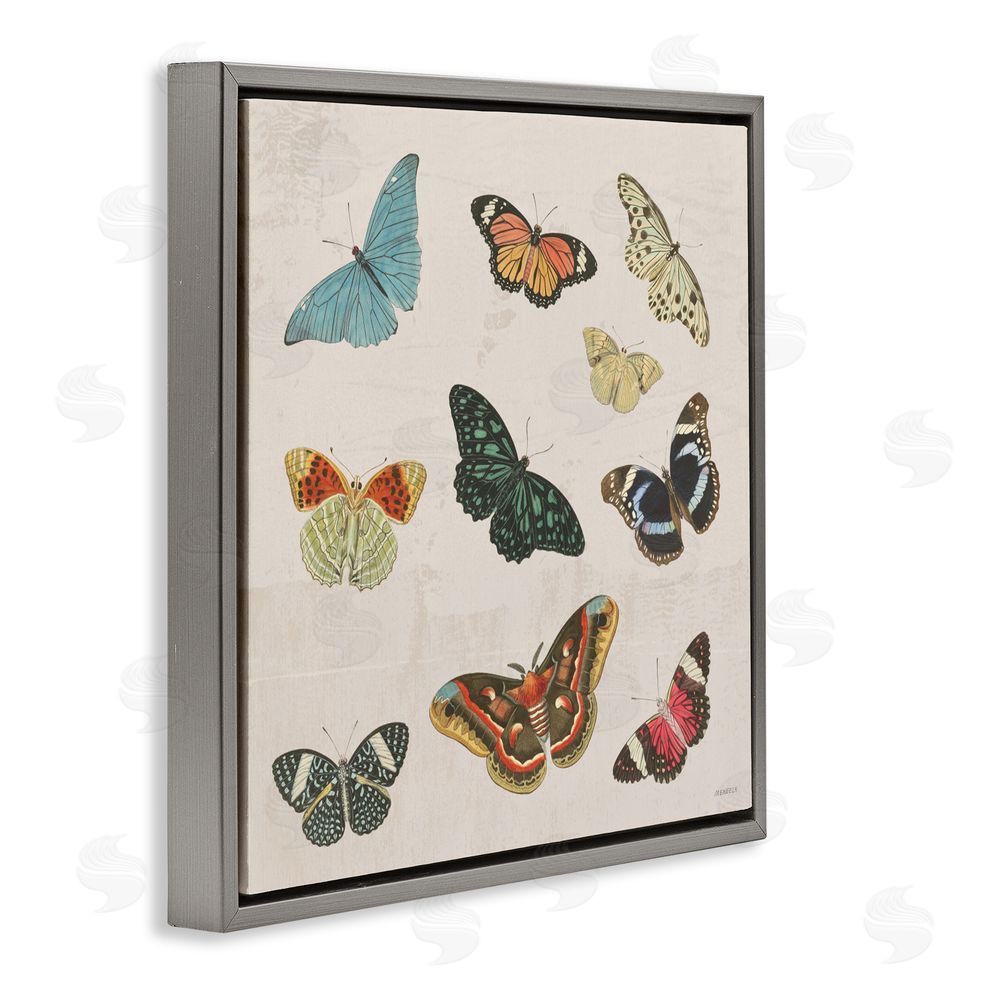 Sundance Graphics Vintage Butterfly Flight Gray Floating Frame Canvas Wall Art Print