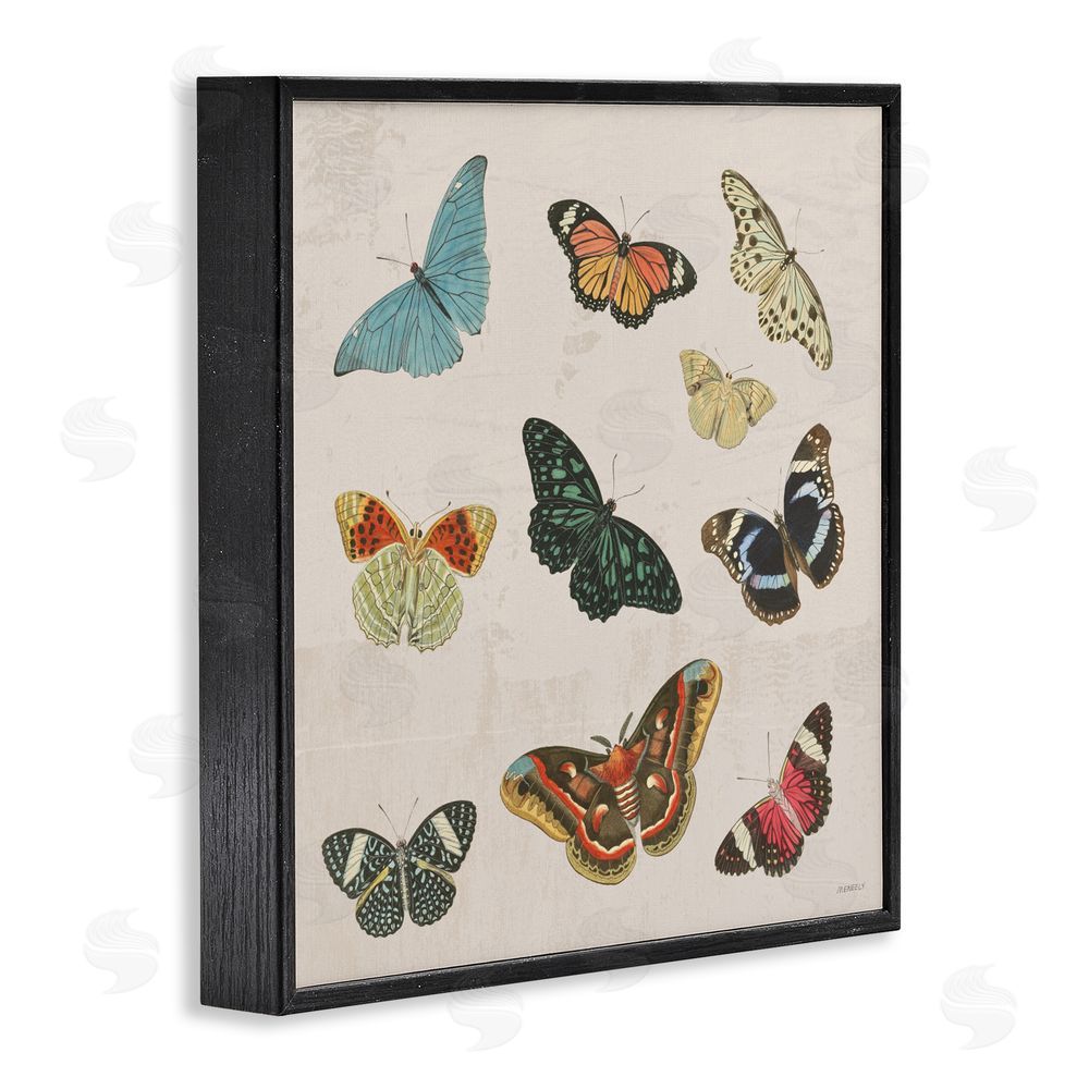 Sundance Graphics Vintage Butterfly Flight Black Framed Giclee Wall Art Print
