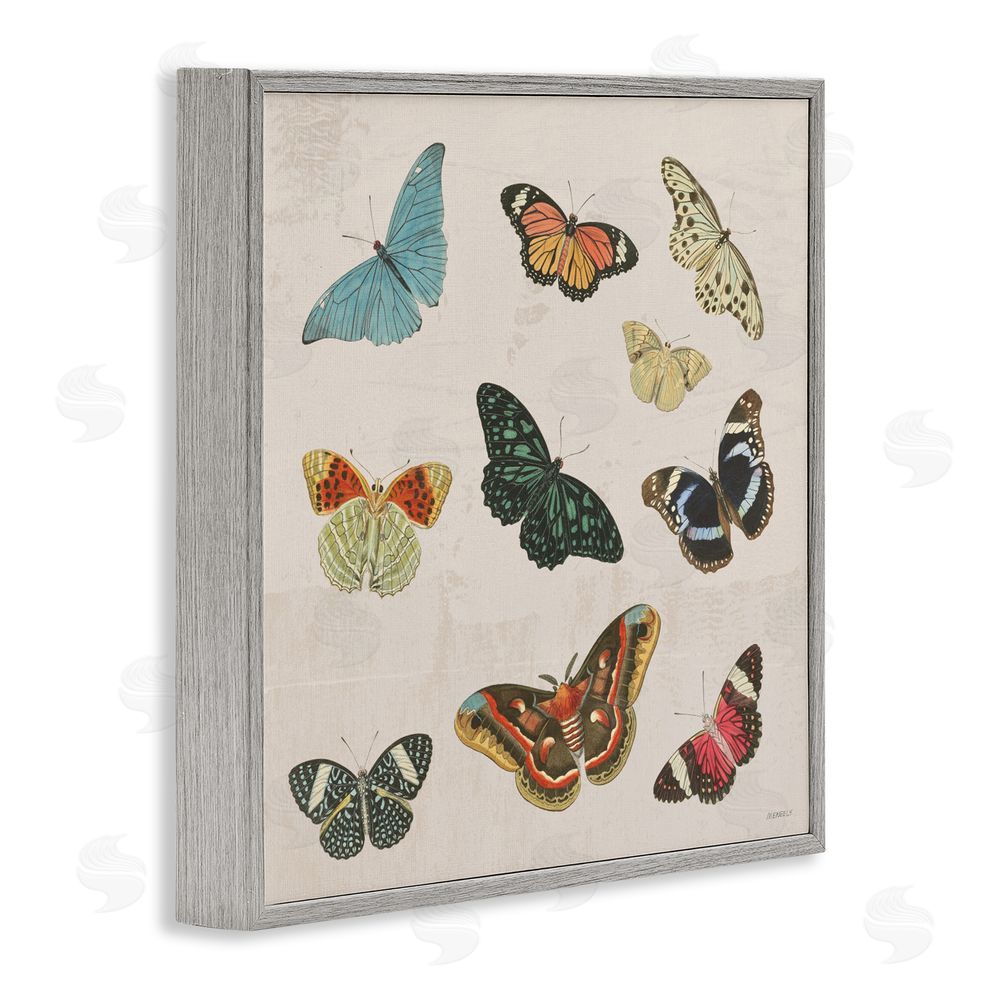 Sundance Graphics Vintage Butterfly Flight Gray Framed Giclee Wall Art Print