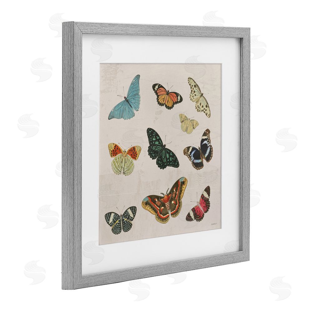 Sundance Graphics Vintage Butterfly Flight Gray Framed Print Under Glass Wall Art