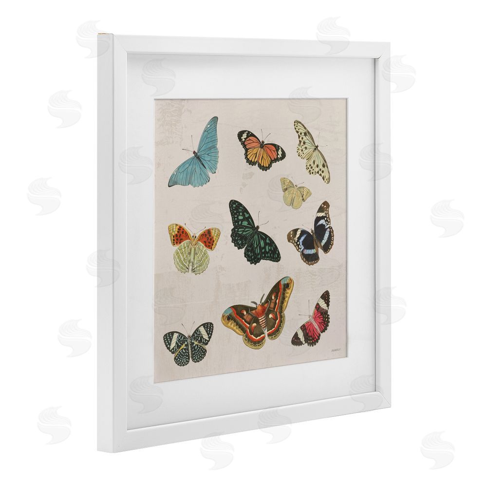 Sundance Graphics Vintage Butterfly Flight White Framed Print Under Glass Wall Art