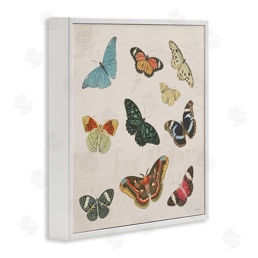Sundance Graphics Vintage Butterfly Flight White Framed Giclee Wall Art Print