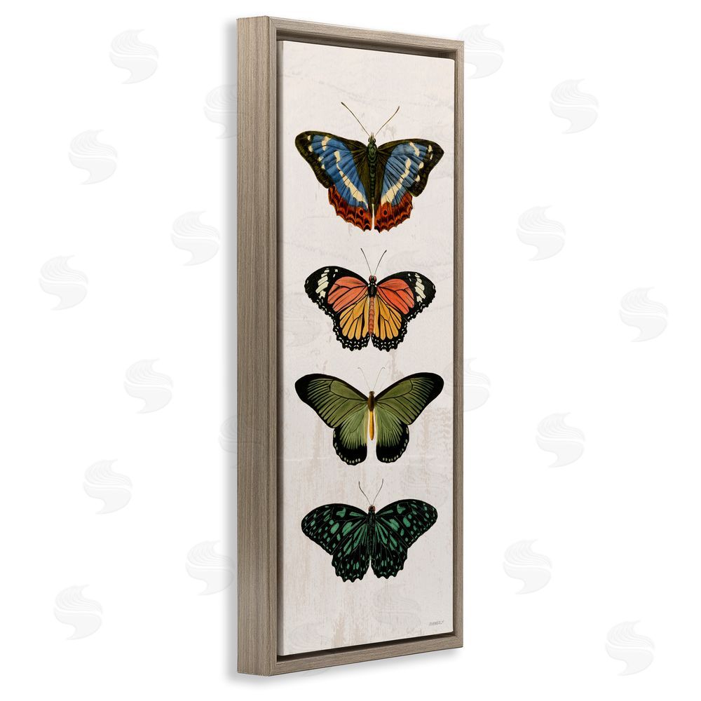 Sundance Graphics Butterfly Lineup Vintage Brown Floating Frame Canvas Wall Art Print