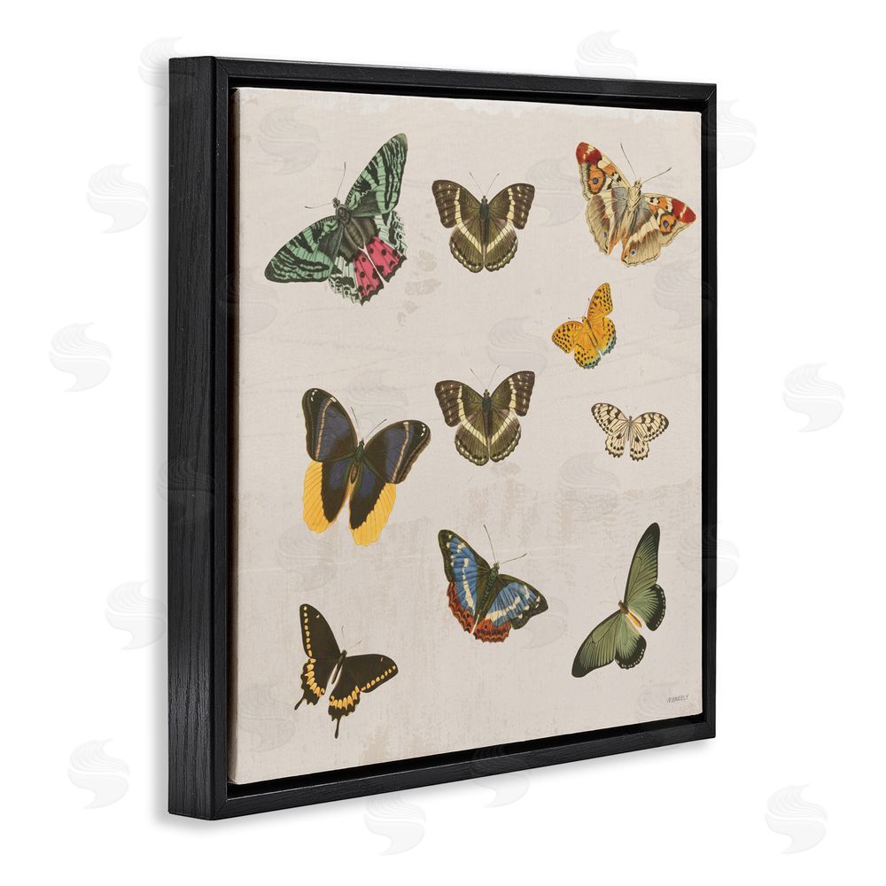 Sundance Graphics Antique Butterfly Flight Black Floating Frame Canvas Wall Art Print