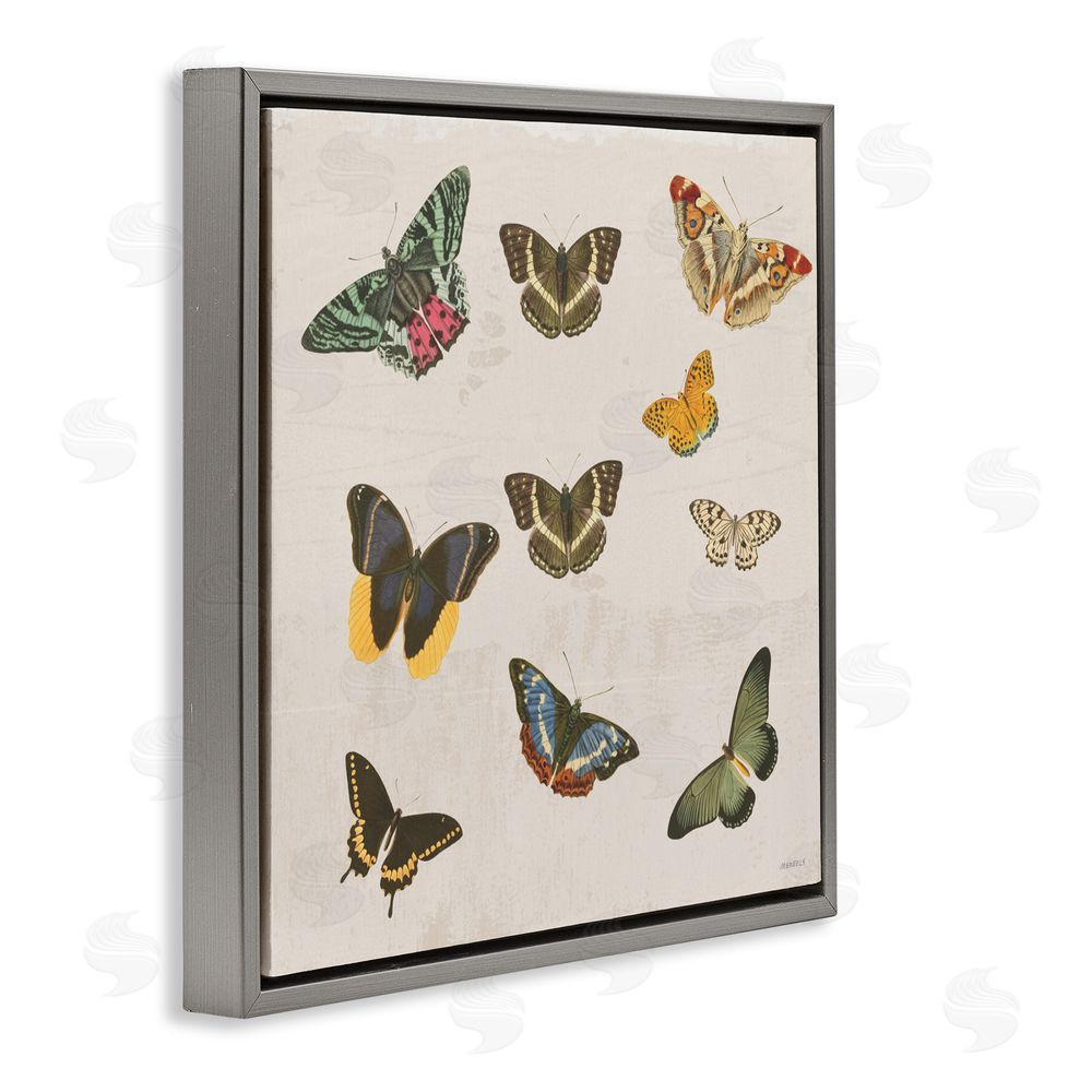 Sundance Graphics Antique Butterfly Flight Gray Floating Frame Canvas Wall Art Print