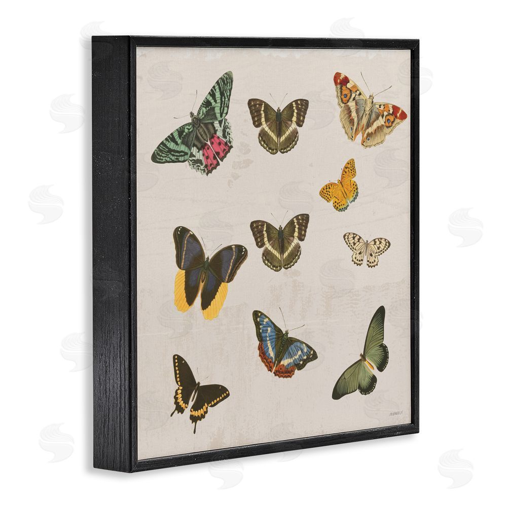 Sundance Graphics Antique Butterfly Flight Black Framed Giclee Wall Art Print
