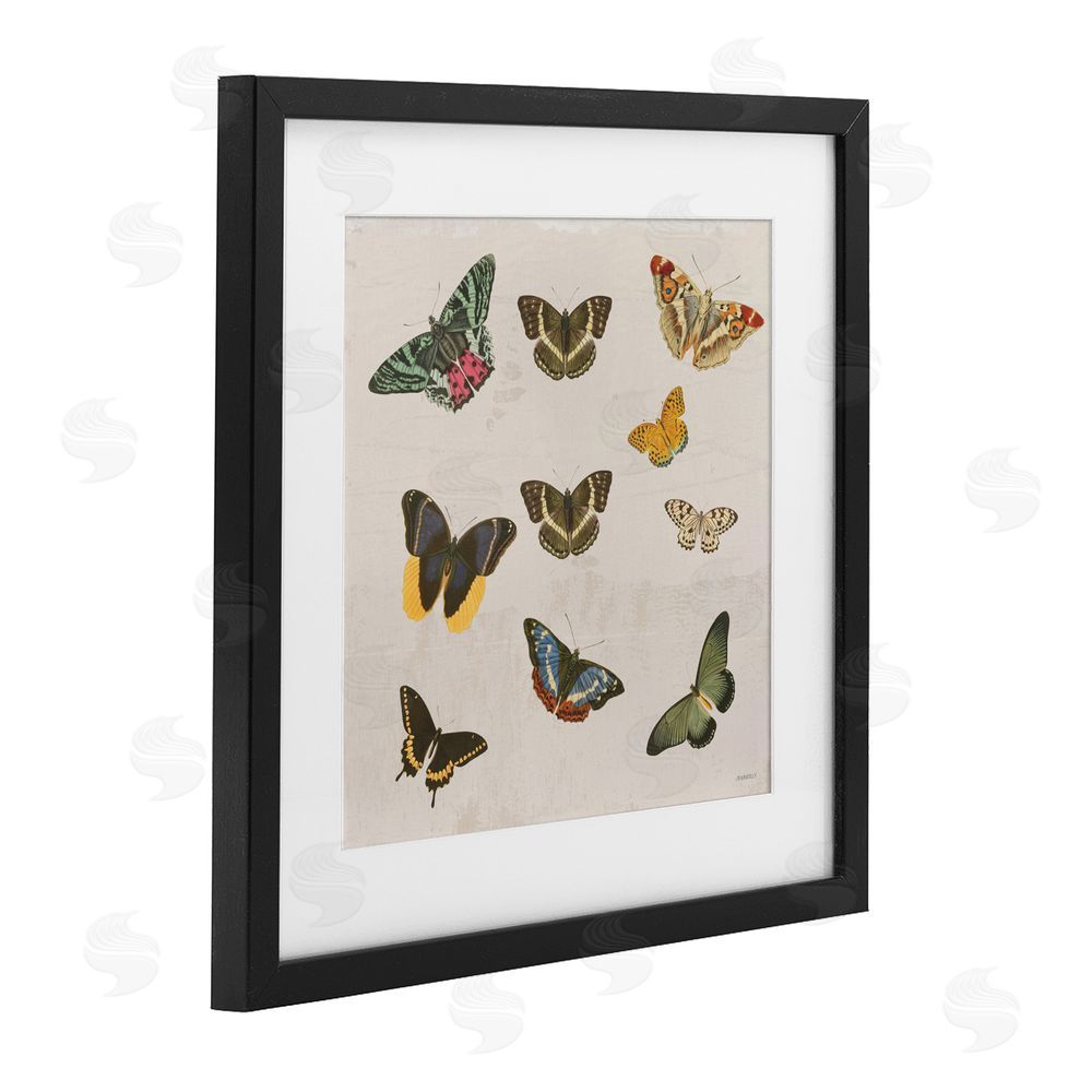 Sundance Graphics Antique Butterfly Flight Black Framed Print Under Glass Wall Art