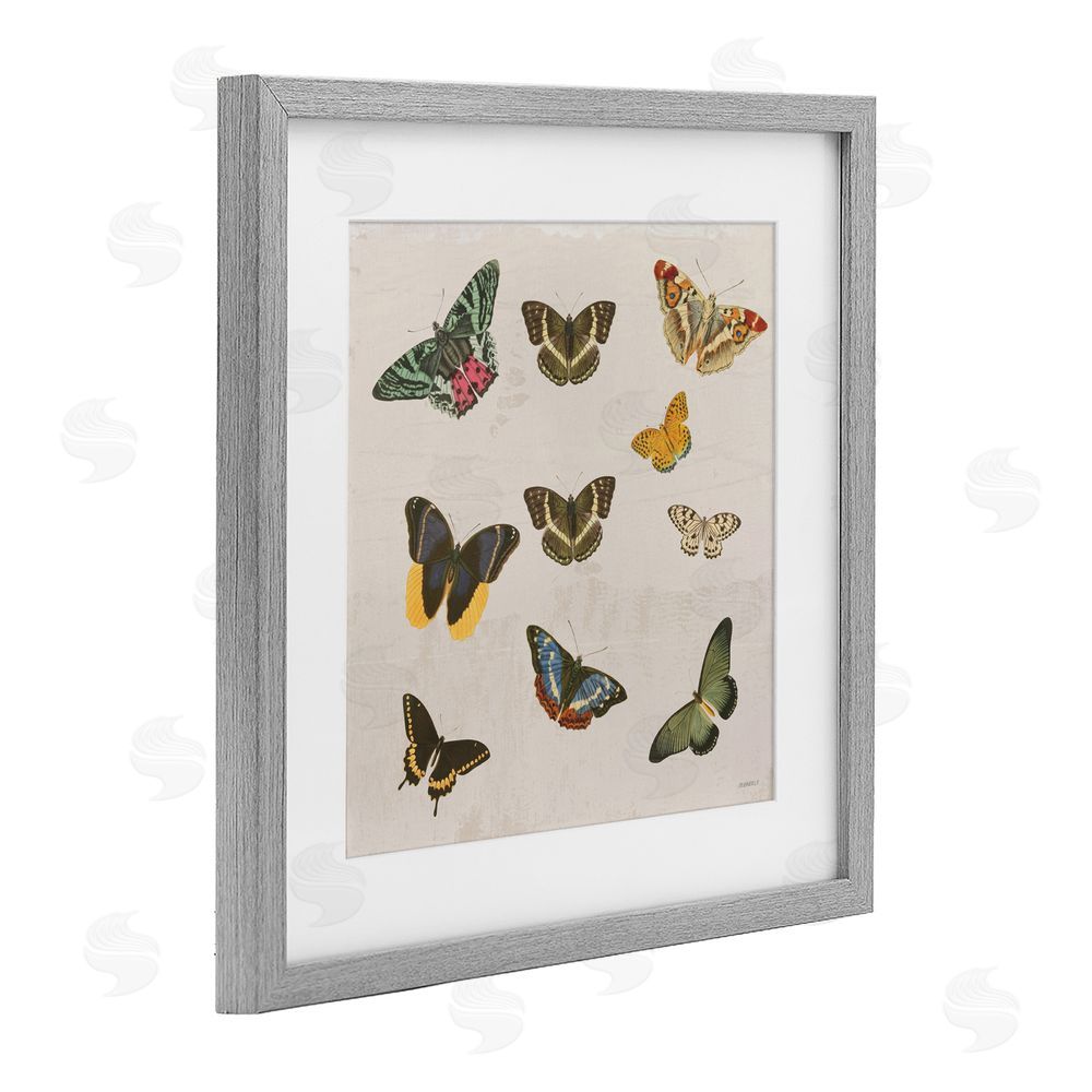 Sundance Graphics Antique Butterfly Flight Gray Framed Print Under Glass Wall Art