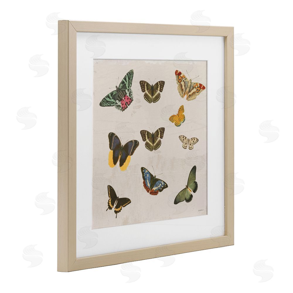Sundance Graphics Antique Butterfly Flight Birch Framed Print Under Glass Wall Art