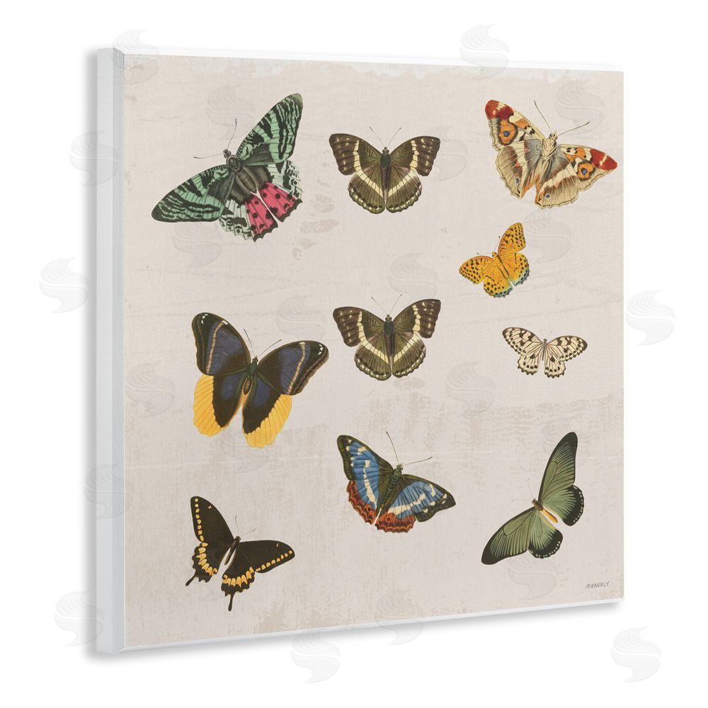 Sundance Graphics Antique Butterfly Flight Wall Plaque Printed Art