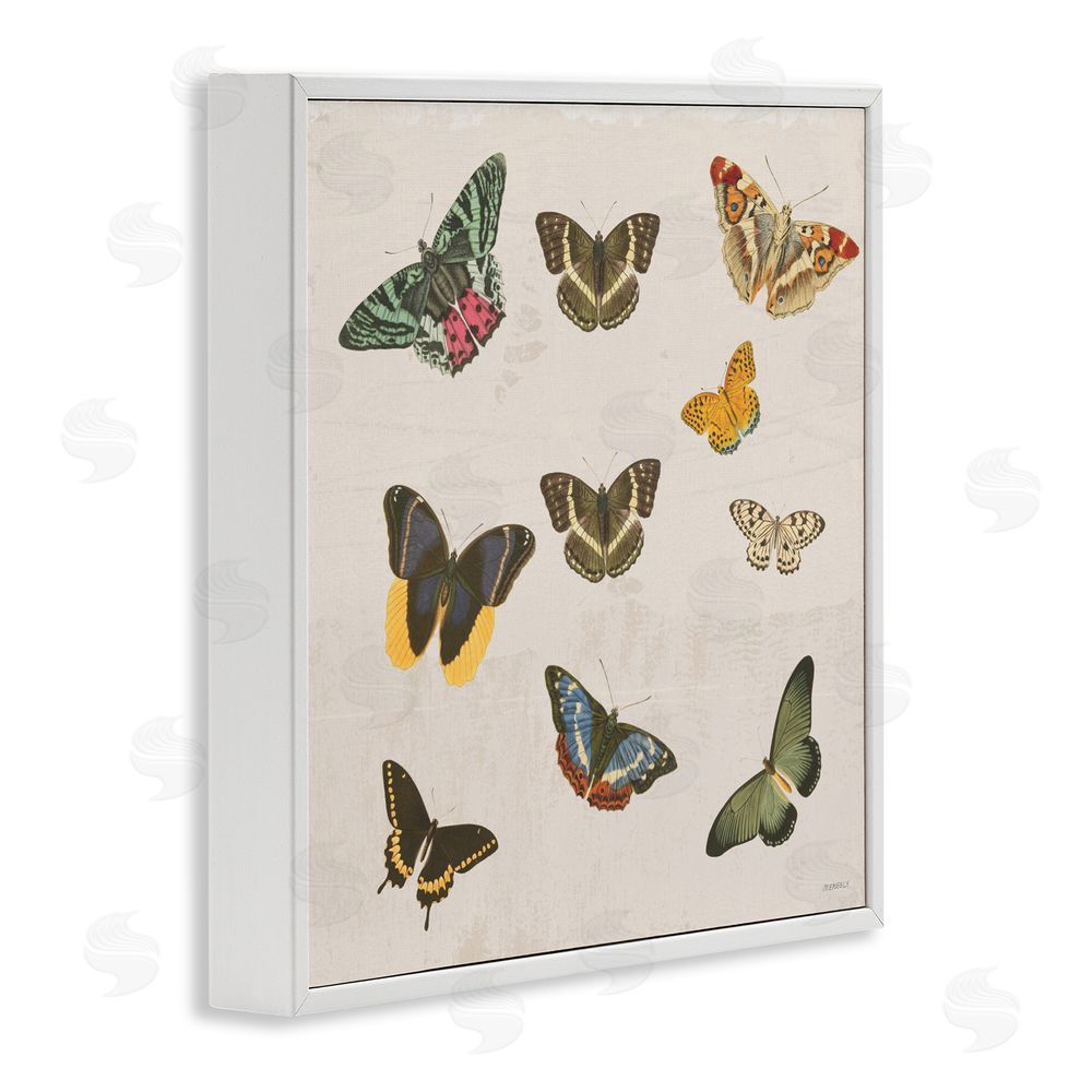 Sundance Graphics Antique Butterfly Flight White Framed Giclee Wall Art Print