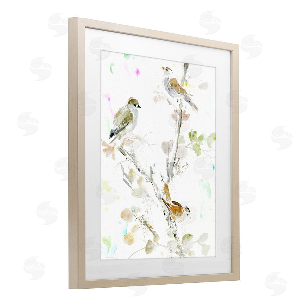 Lorenzo Collective Delicate Feathers Trio Birch Framed Print Under Glass Wall Art