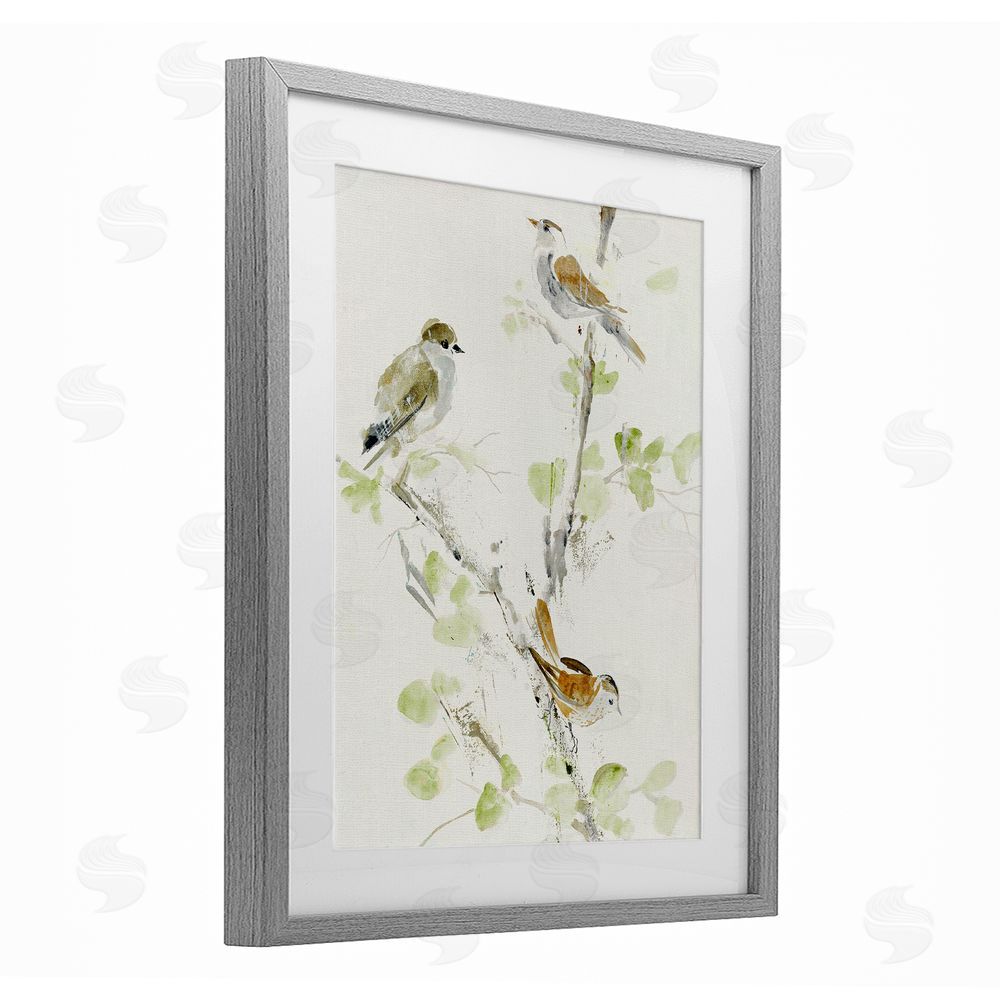 Lorenzo Collective Delicate Feathers Abstraction Gray Framed Print Under Glass with Mat Wall Art