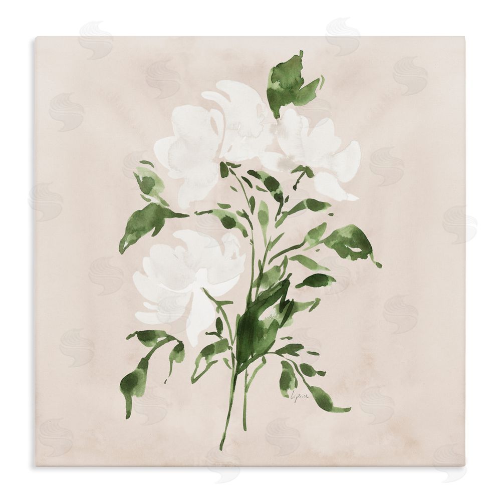 Lucille Price White On Tan Blossom Stretched Canvas Wall Art Print
