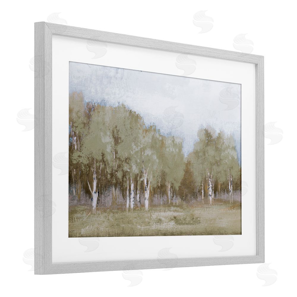 Sundance Graphics Autumn Greens Tranquil Trees Gray Framed Print Under Glass Wall Art