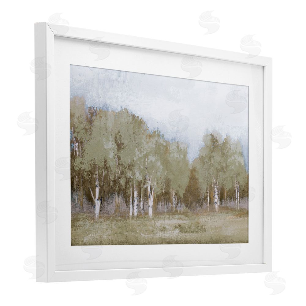 Sundance Graphics Autumn Greens Tranquil Trees White Framed Print Under Glass Wall Art