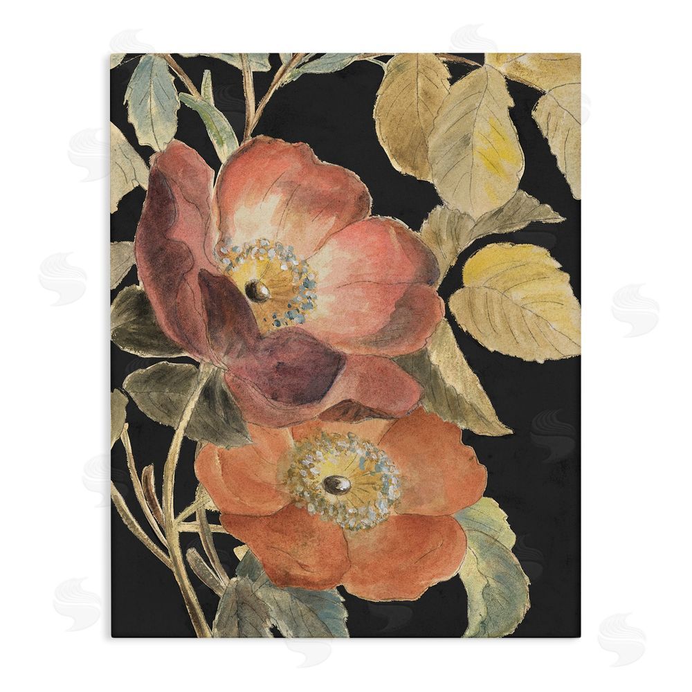 Lanie Loreth Red Flower over Black Stretched Canvas Wall Art Print