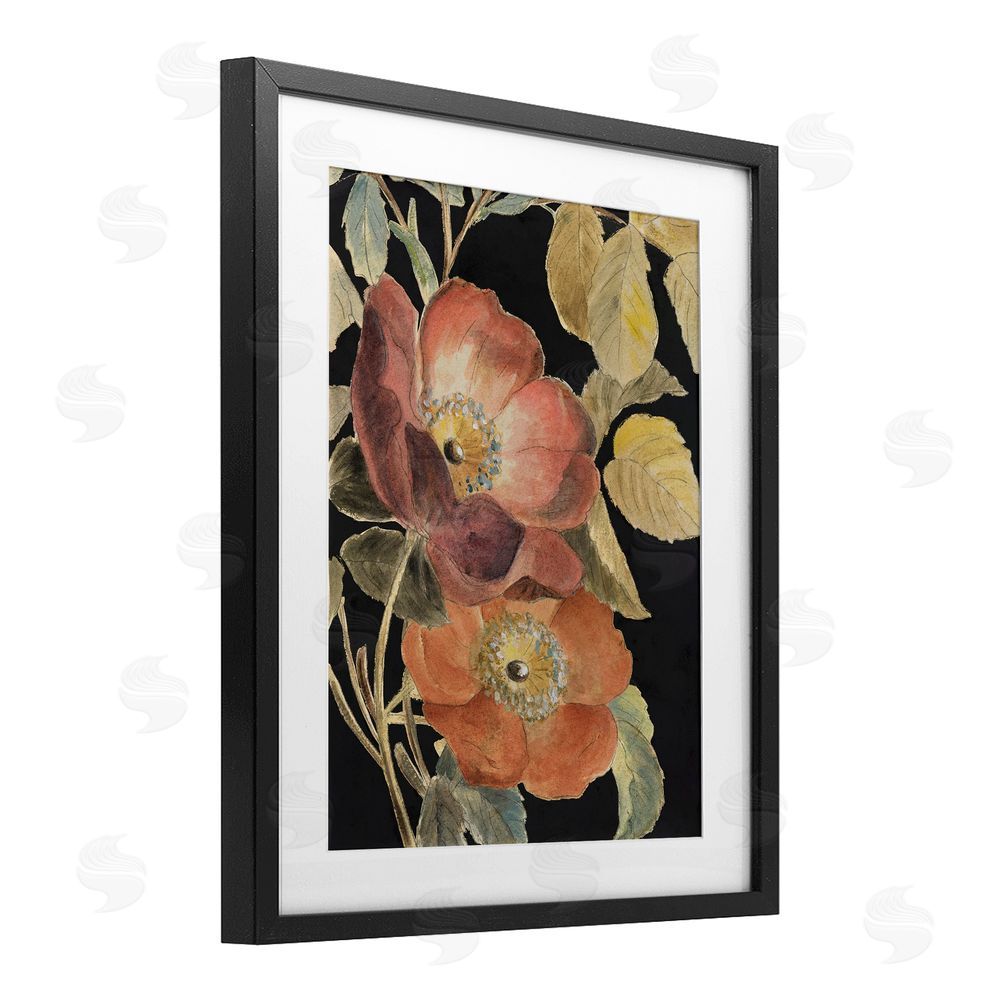 Lanie Loreth Red Flower over Black Black Framed Print Under Glass Wall Art