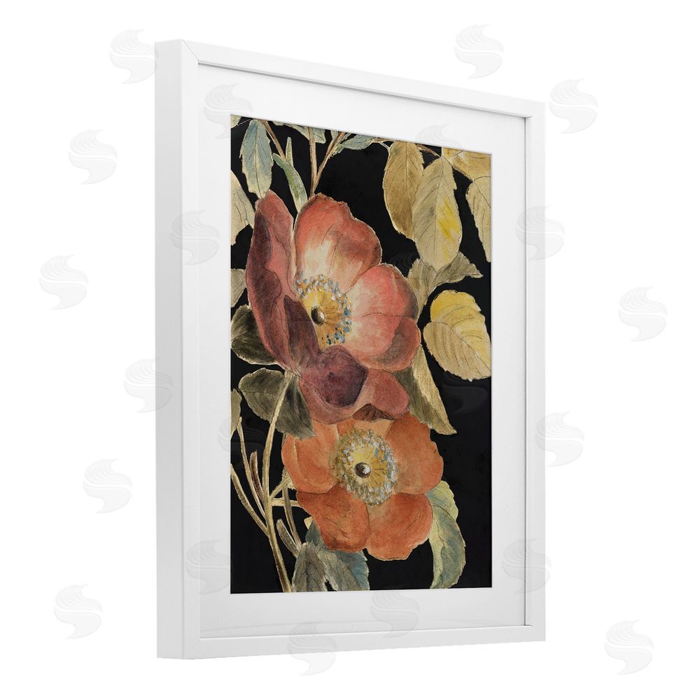 Lanie Loreth Red Flower over Black White Framed Print Under Glass Wall Art