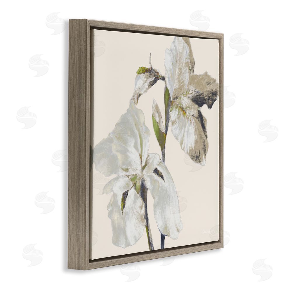 Sundance Graphics Irises Soft Beige Brown Floating Frame Canvas Wall Art Print