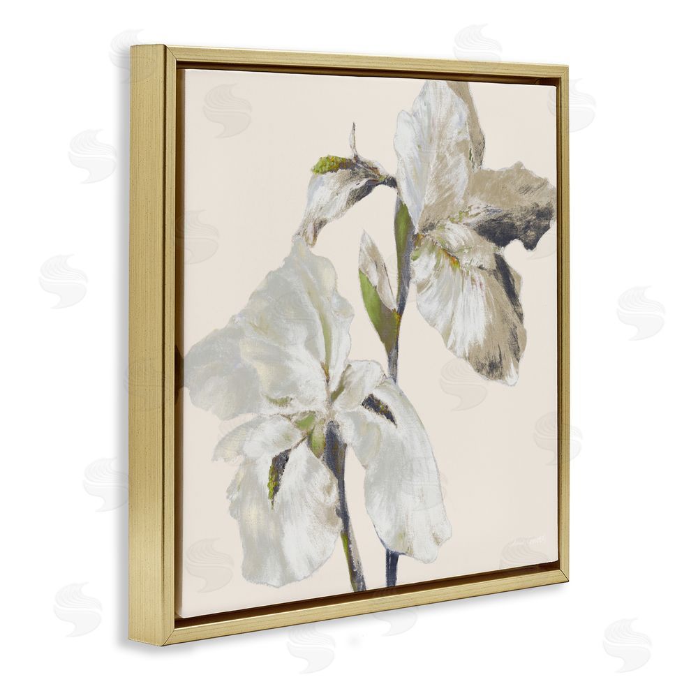 Sundance Graphics Irises Soft Beige Gold Floating Frame Canvas Wall Art Print