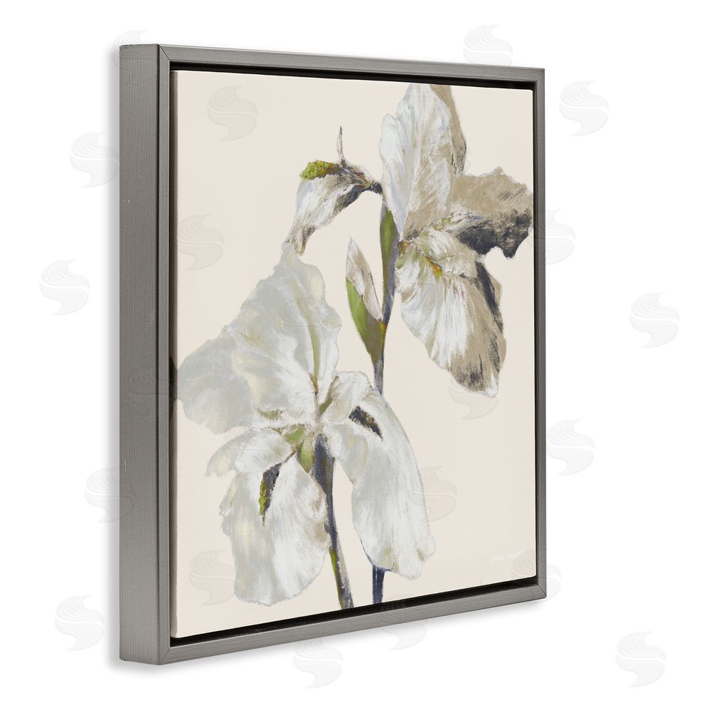 Sundance Graphics Irises Soft Beige Gray Floating Frame Canvas Wall Art Print