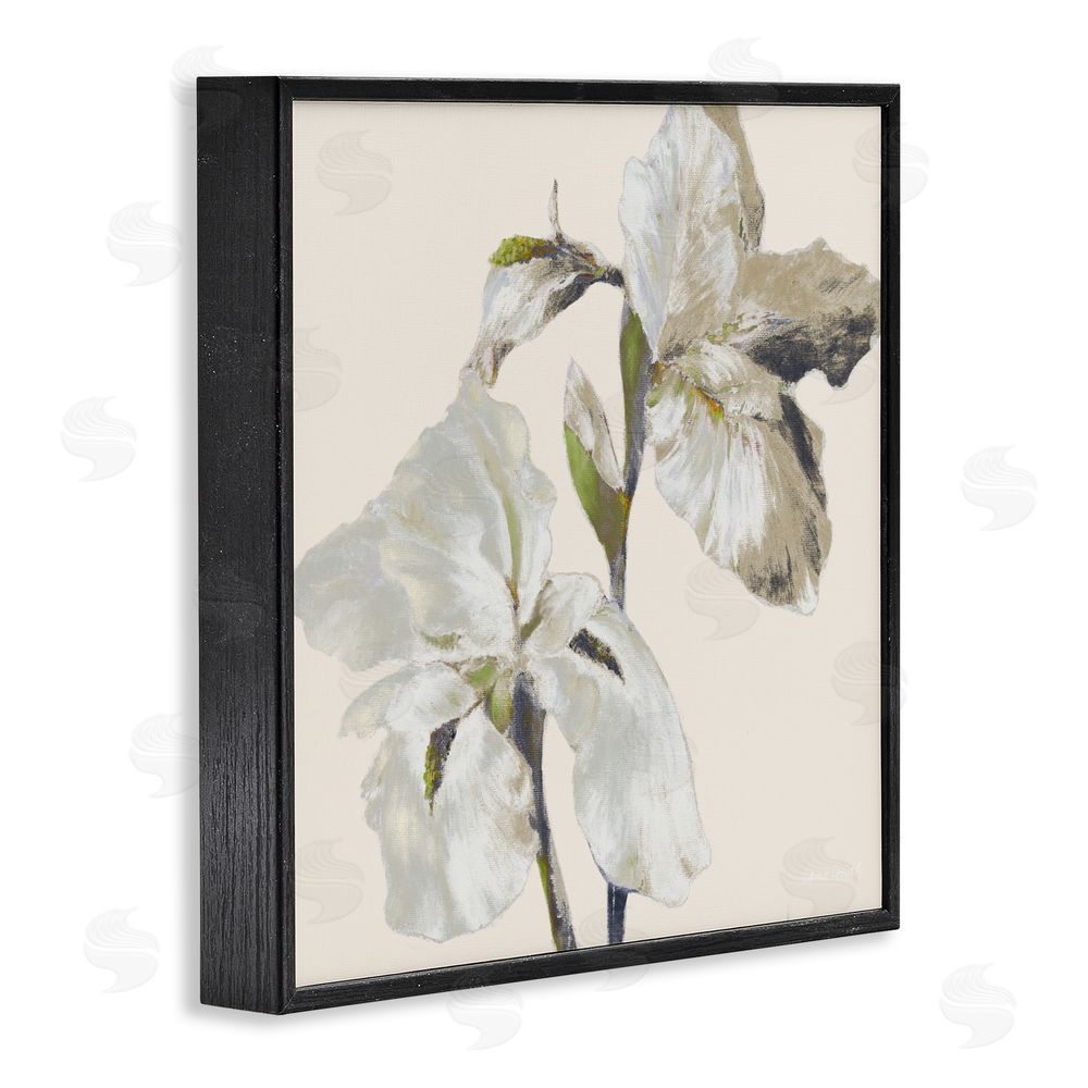 Sundance Graphics Irises Soft Beige Black Framed Giclee Wall Art Print