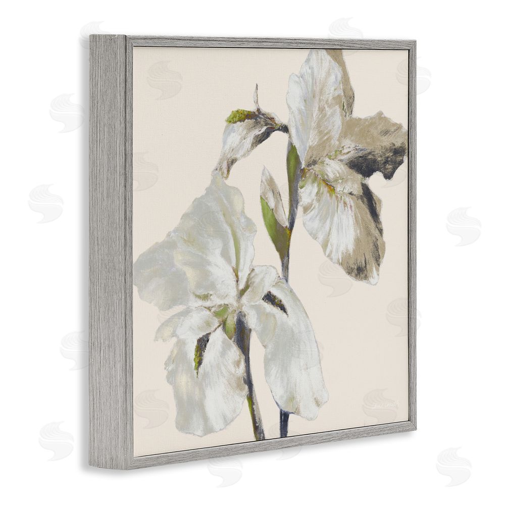 Sundance Graphics Irises Soft Beige Gray Framed Giclee Wall Art Print
