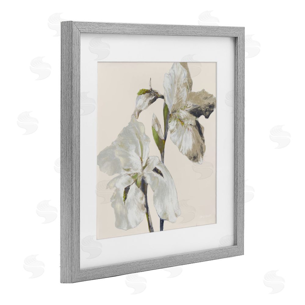 Sundance Graphics Irises Soft Beige Gray Framed Print Under Glass Wall Art