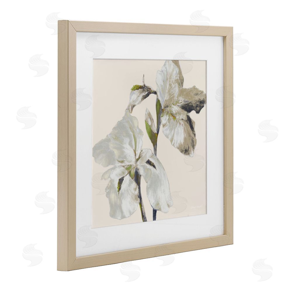 Sundance Graphics Irises Soft Beige Birch Framed Print Under Glass Wall Art