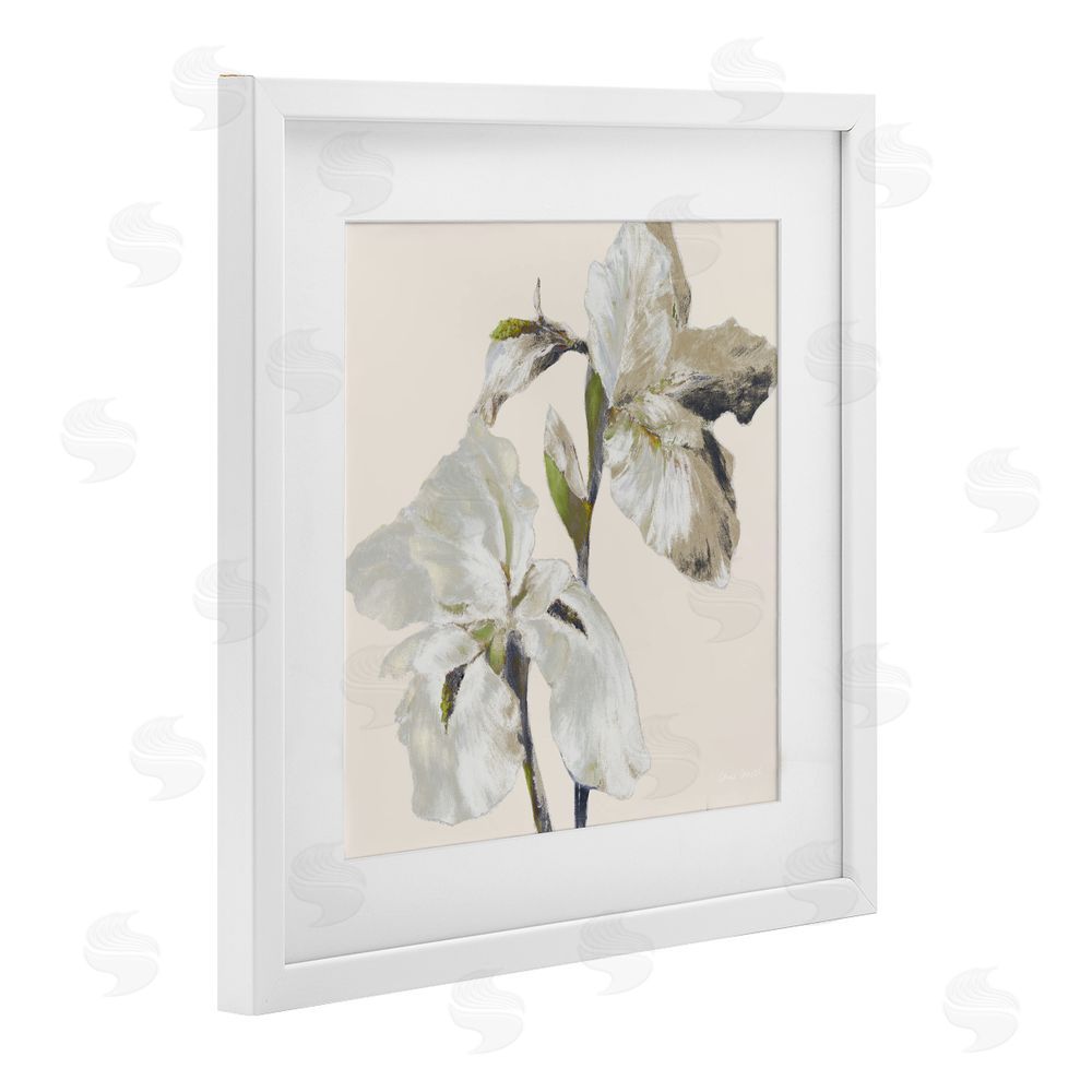 Sundance Graphics Irises Soft Beige White Framed Print Under Glass Wall Art