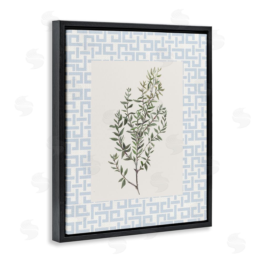 Sundance Graphics Leafy Herb on Geometric Black Floating Frame Canvas Wall Art Print