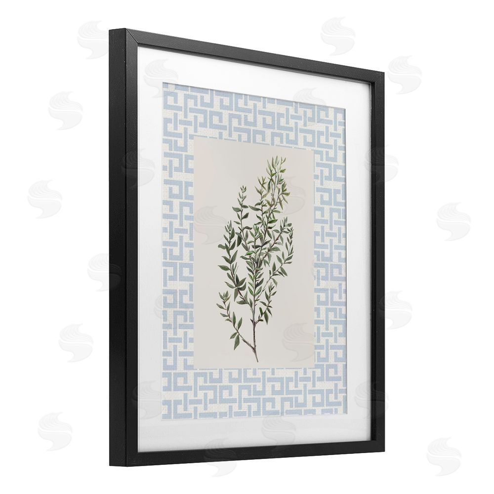 Sundance Graphics Leafy Herb on Geometric Black Framed Print Under Glass Wall Art