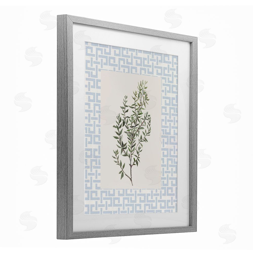 Sundance Graphics Leafy Herb on Geometric Gray Framed Print Under Glass Wall Art