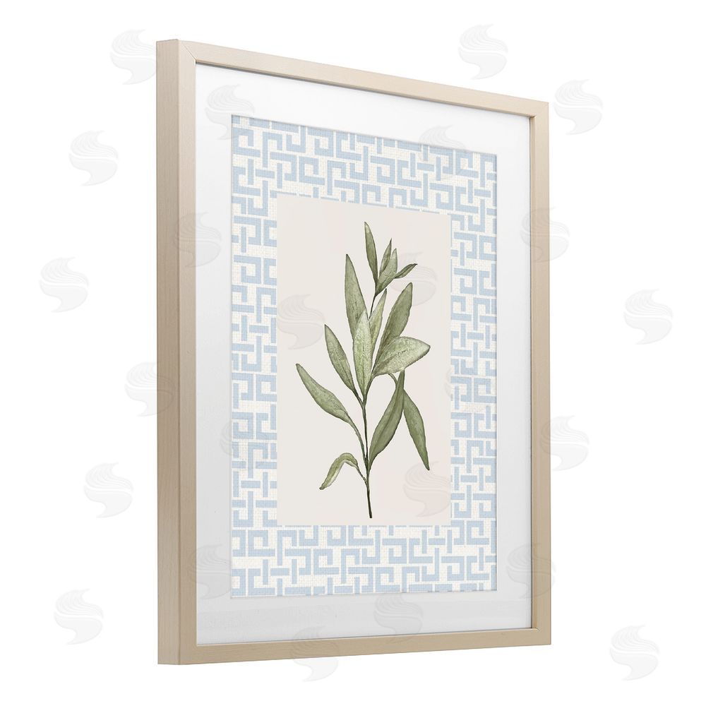 Sundance Graphics Leafy Fresh Herb Birch Framed Print Under Glass Wall Art