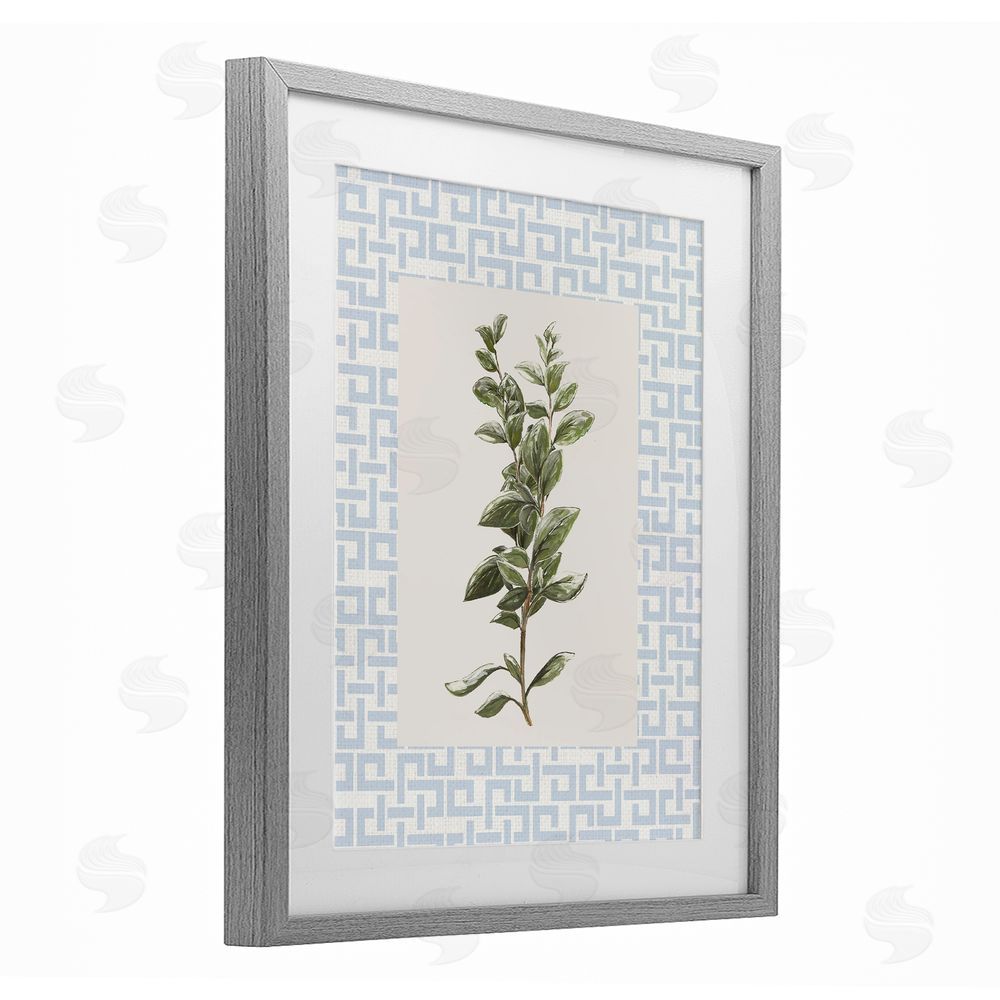 Sundance Graphics Fresh Herb on Geometric Gray Framed Print Under Glass Wall Art