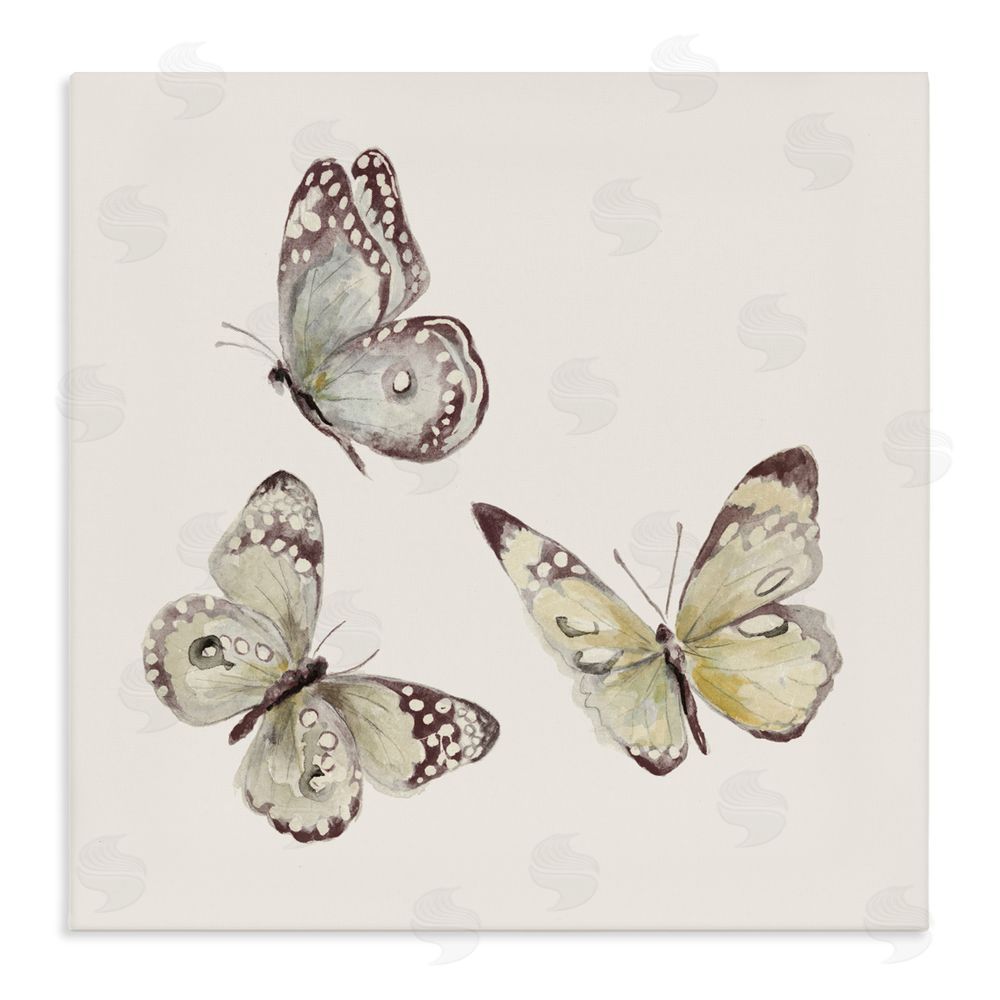 Sundance Graphics Isolated Butterflies on Beige Canvas Wall Art Print