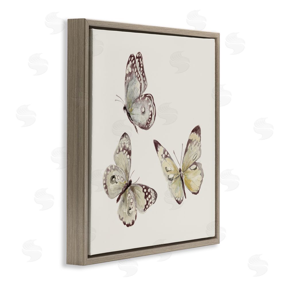 Sundance Graphics Isolated Butterflies on Beige Brown Floating Frame Canvas Wall Art Print