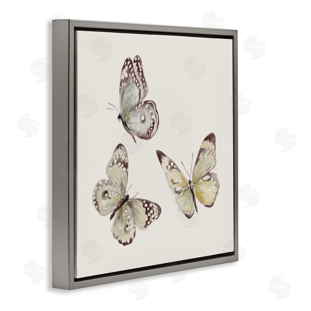 Sundance Graphics Isolated Butterflies on Beige Gray Floating Frame Canvas Wall Art Print