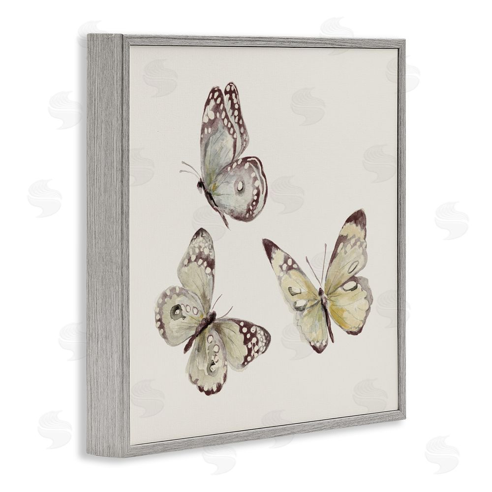 Sundance Graphics Isolated Butterflies on Beige Gray Framed Giclee Wall Art Print