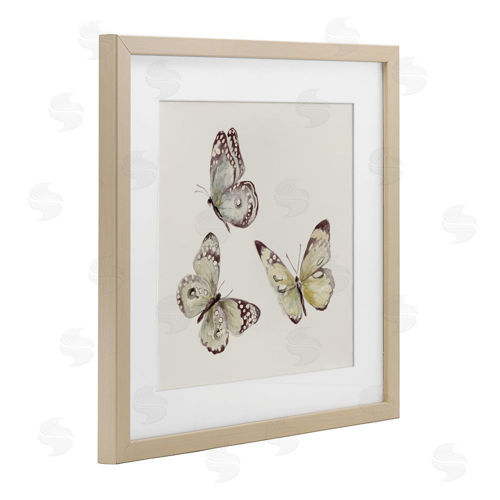 Sundance Graphics Isolated Butterflies on Beige Birch Framed Print Under Glass Wall Art
