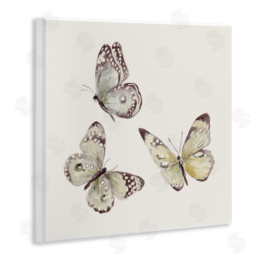 Sundance Graphics Isolated Butterflies on Beige Wall Plaque Printed Art