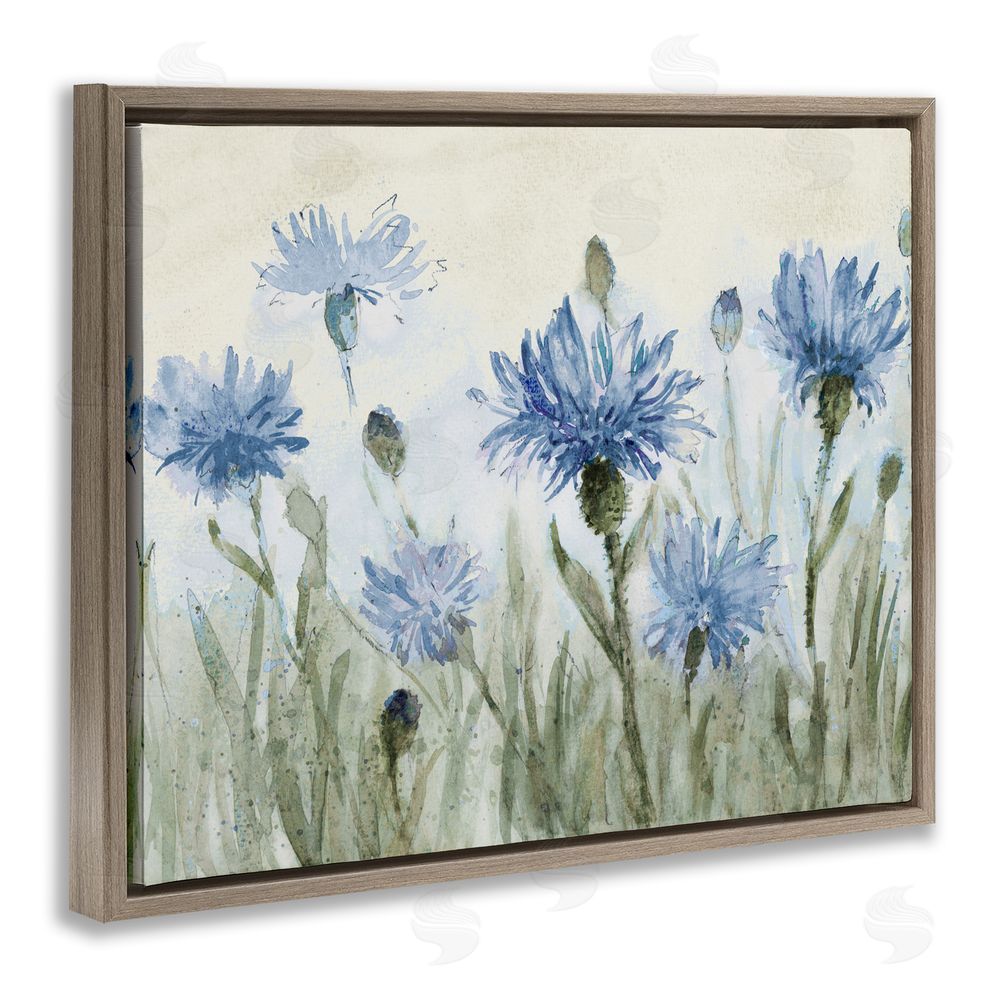 Sundance Graphics Blue Cornflowers Meadow Brown Floating Frame Canvas Wall Art Print