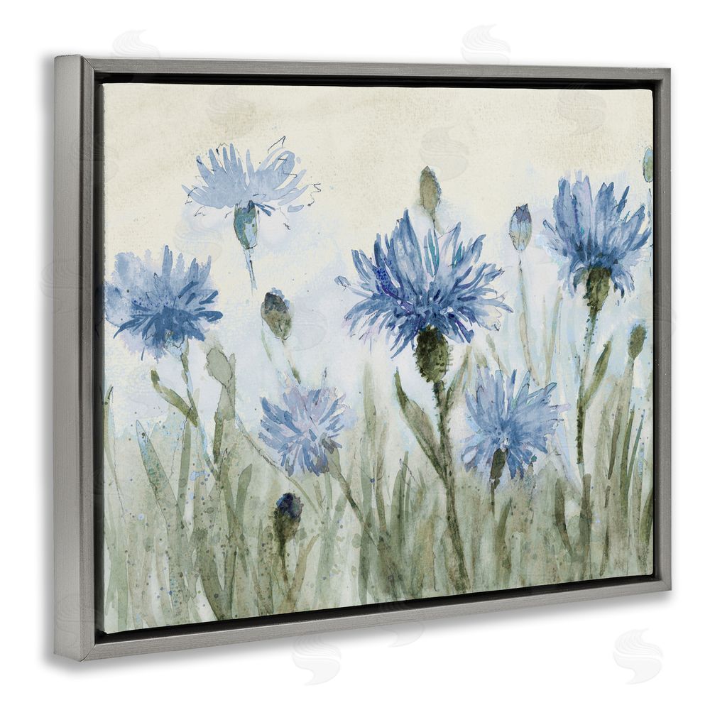 Sundance Graphics Blue Cornflowers Meadow Gray Floating Frame Canvas Wall Art Print