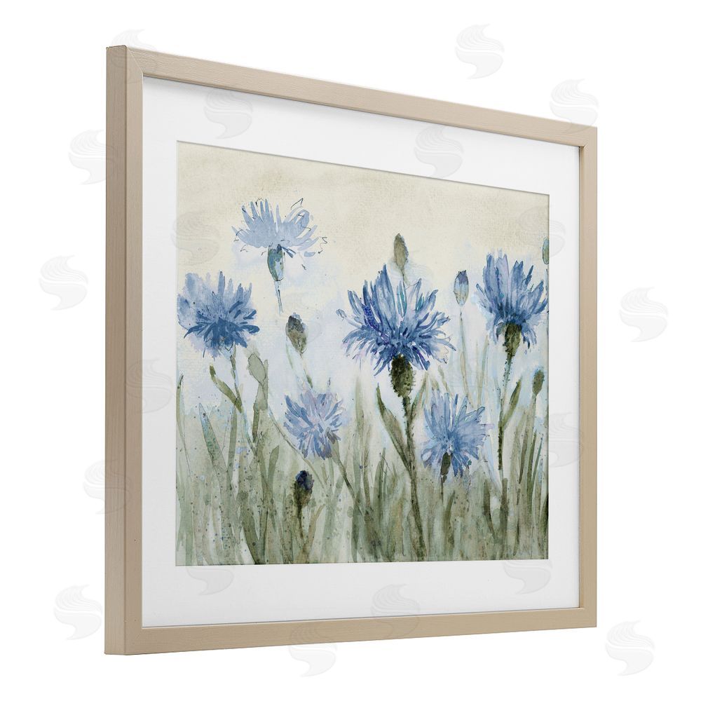 Sundance Graphics Blue Cornflowers Meadow Birch Framed Print Under Glass Wall Art
