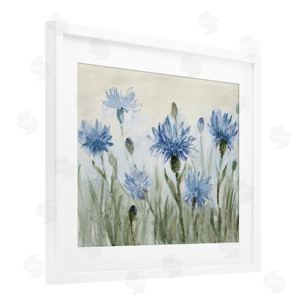 Sundance Graphics Blue Cornflowers Meadow White Framed Print Under Glass Wall Art