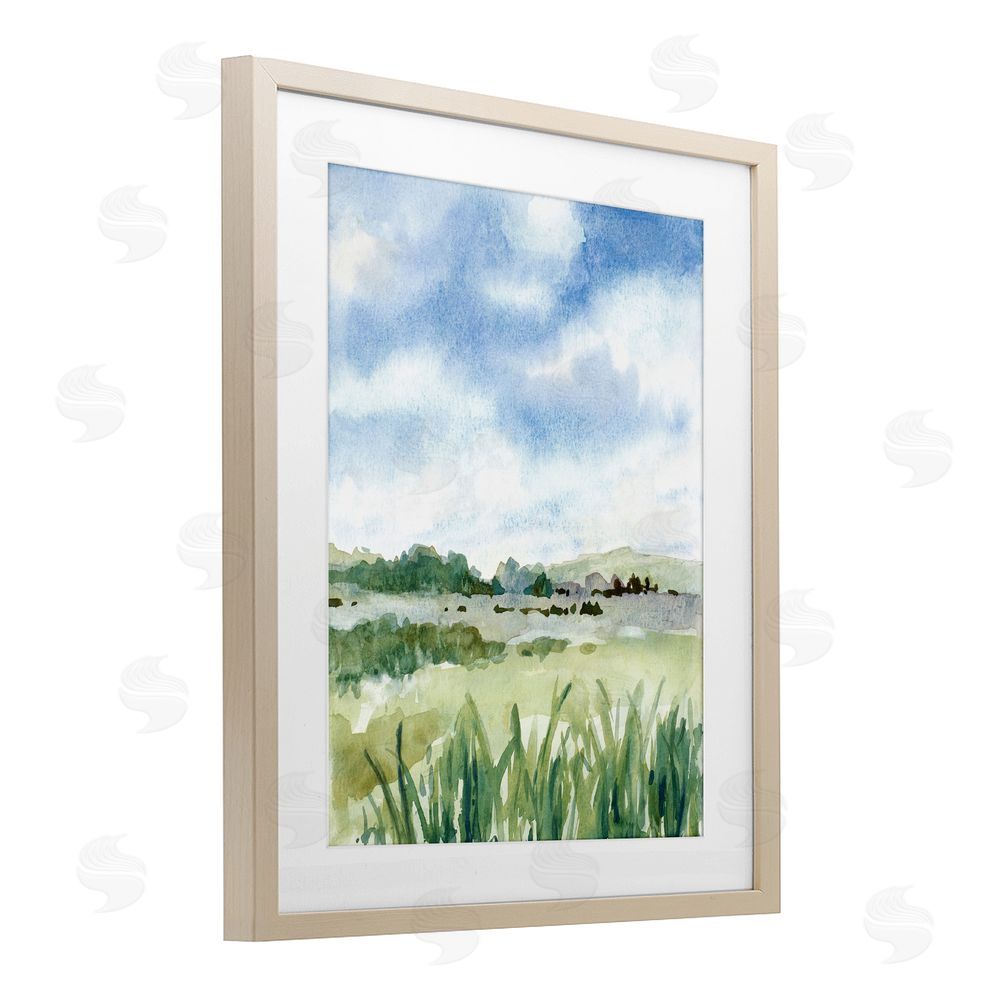 Sundance Graphics Fresh Spring Morning Birch Framed Print Under Glass Wall Art
