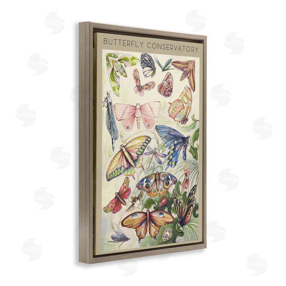 Sundance Graphics Butterfly Conservatory Insects Brown Floating Frame Canvas Wall Art Print